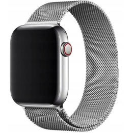 PASEK BRANZOLETA APPLE WATCH 7 8 9 SE 42MM SILVER