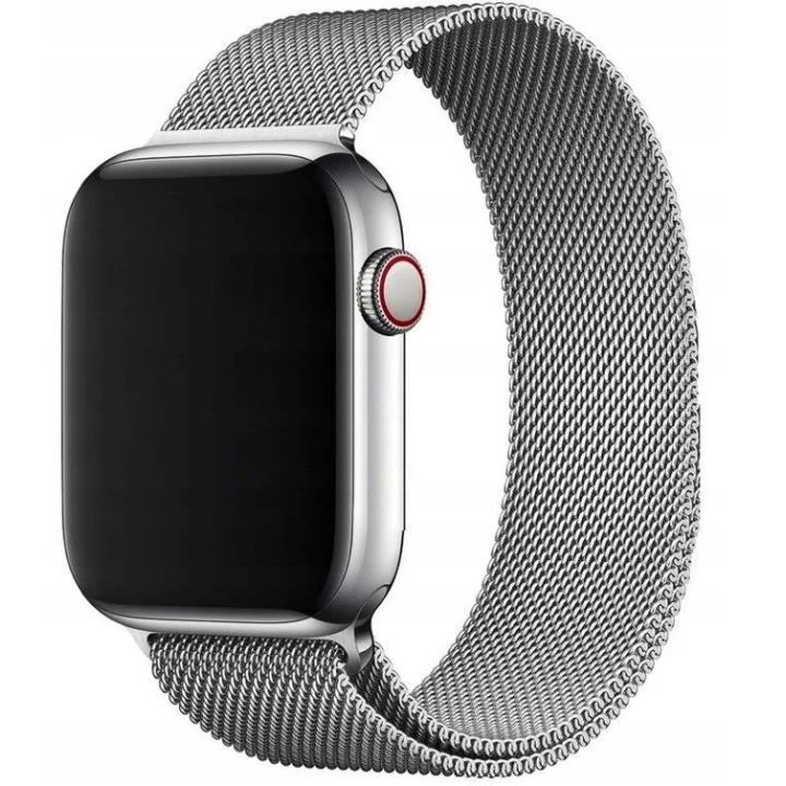 PASEK BRANZOLETA APPLE WATCH 7 8 9 SE 42MM SILVER